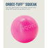 Planet Dog Orbee Squeak Ball Pink - Poudre Pet & Feed Supply 2